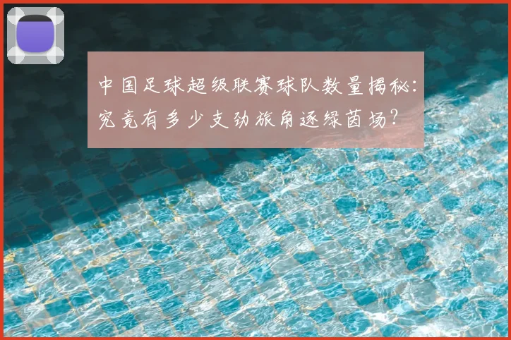 中国足球超级联赛球队数量揭秘：究竟有多少支劲旅角逐绿茵场？
